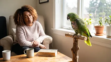 Waarom pikt mijn vogel in zijn veren?