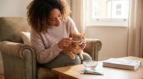 Katten Tandverzorging: Tekenen van Tandpijn en Reiniging
