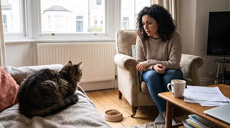 Kat eet niet: oorzaken en wanneer je je zorgen moet maken
